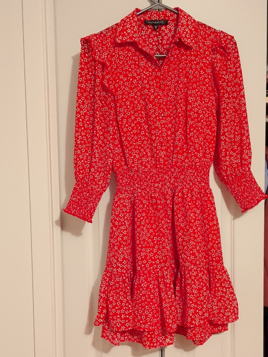 Dynamite Dresses & Skirts - 🌼Dynamite Red Floral Tiered Mini Dress